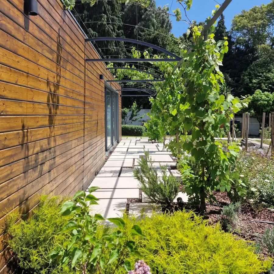A stone path running between clipped shrubs and a tall timber screen with climbing vines.
